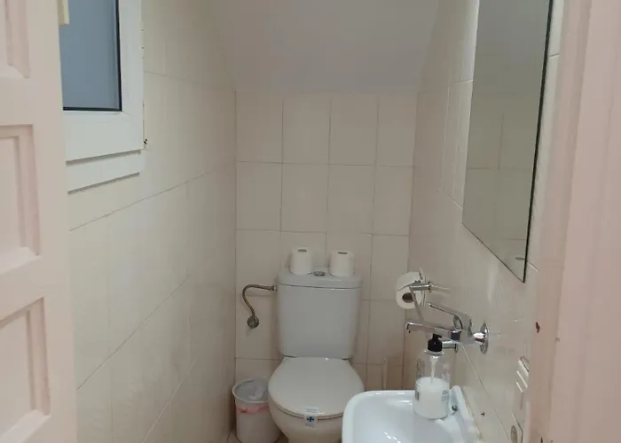 Pinos 20 Menyber Nerja